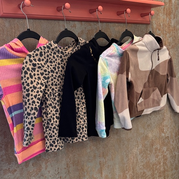 Cat & Jack Other - Cat & Jack and Various Brand Girls 4T Lot.